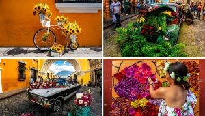 Anuncian Festival de las Flores en Antigua Guatemala