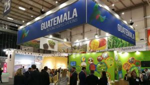 Agroexportadores guatemaltecos exhibirán sus productos en Alemania