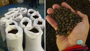 Guatemala: reducen tarifa para exportar pimienta