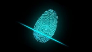 La plataforma digital para reportar pistas de delitos