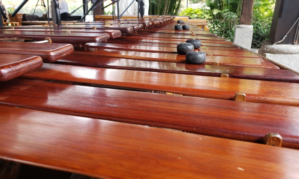 Realizarán Concierto Virtual De Marimba Para Reconocer El Esfuerzo Y