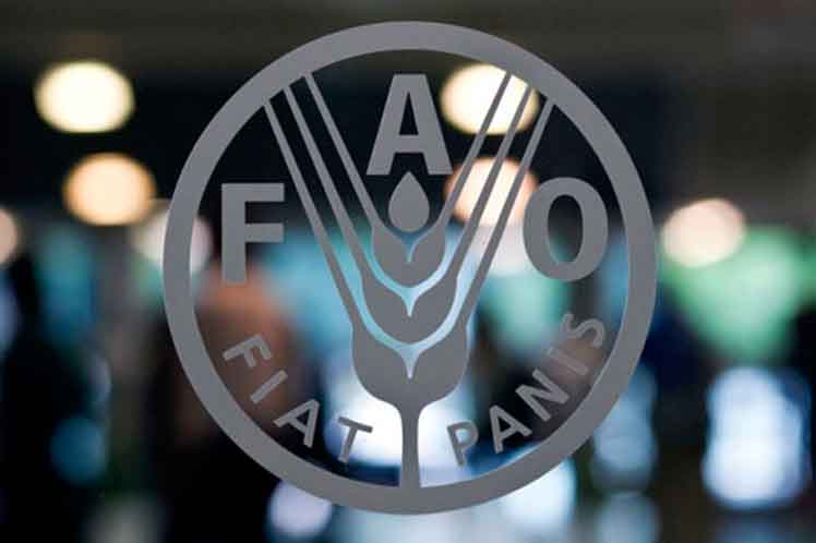 cumbre FAO