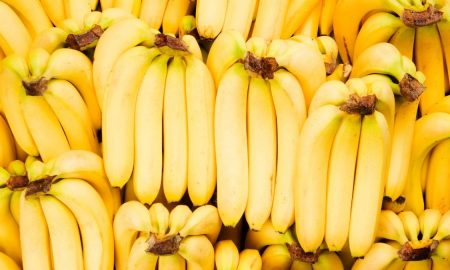 exportación de bananos en Latinoamericana