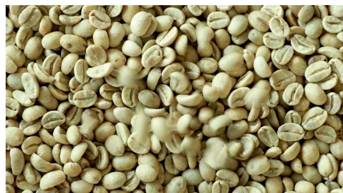 En decrecimiento exportación mundial de café verde en grano