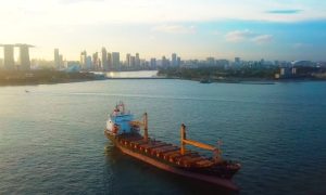 Importante puerto de EE.UU. penalizará estancia excesiva de contenedores vacíos