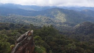 “Me gusta el bosque, me gusta el agua”: Movimiento que impacta la vida de miles guatemaltecos
