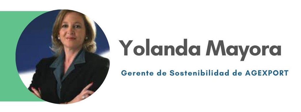 Yolanda Mayora, Gerente de Sostenibilidad