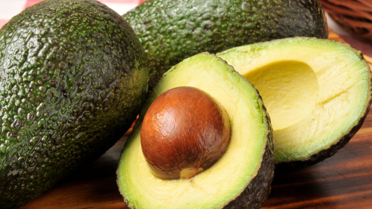 aguacate de Guatemala