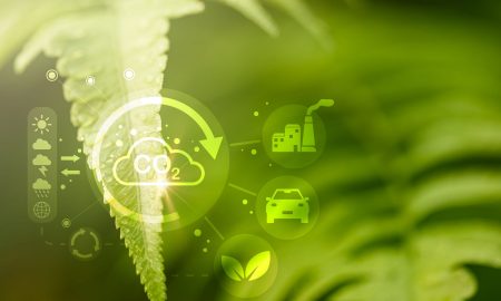 Pacto Verde