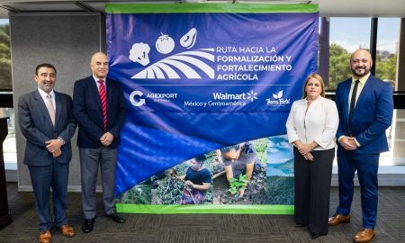 productores Guatemala