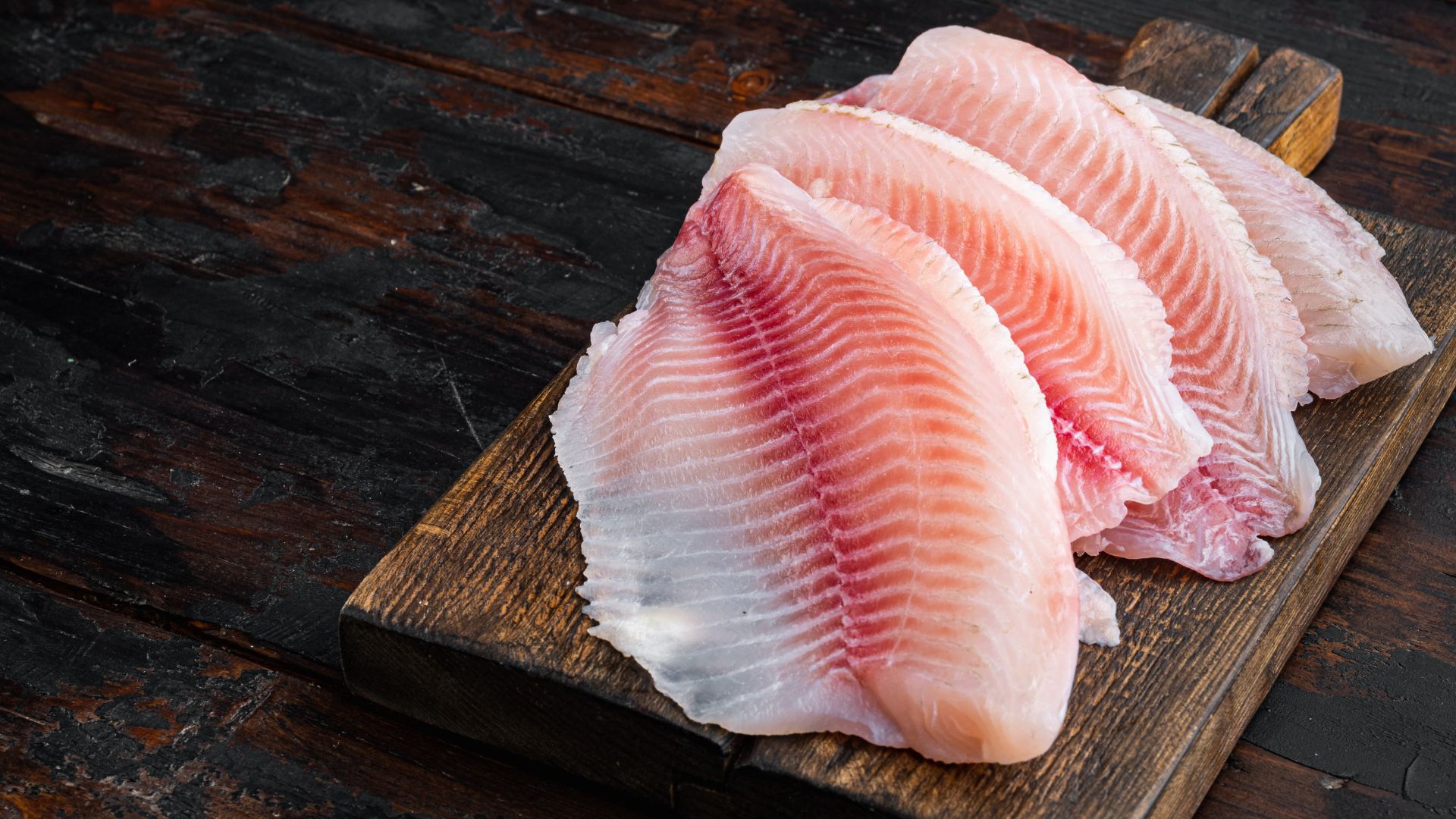 tilapia