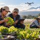 Personas productoras enfrentan los retos del agro en Guatemala con tecnología, calidad e innovación