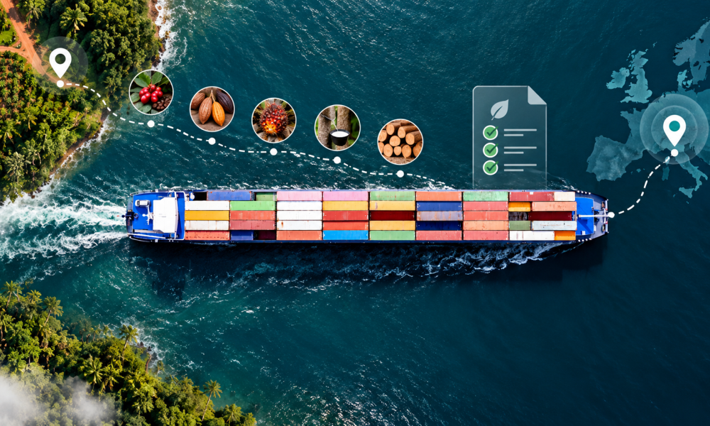 Exportar a Europa: requisitos EUDR para empresas guatemaltecas