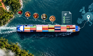 Exportar a Europa: requisitos EUDR para empresas guatemaltecas